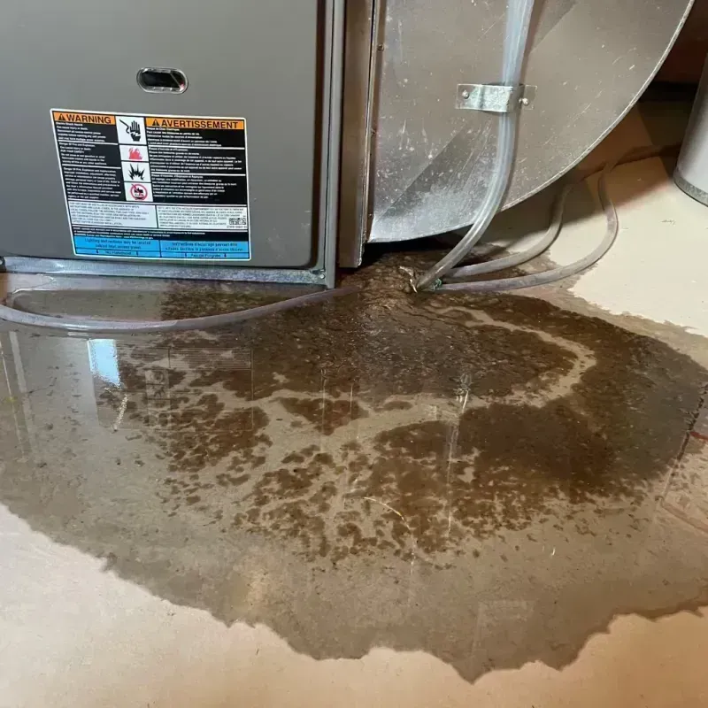 Appliance Leak Cleanup in Williamson, WV